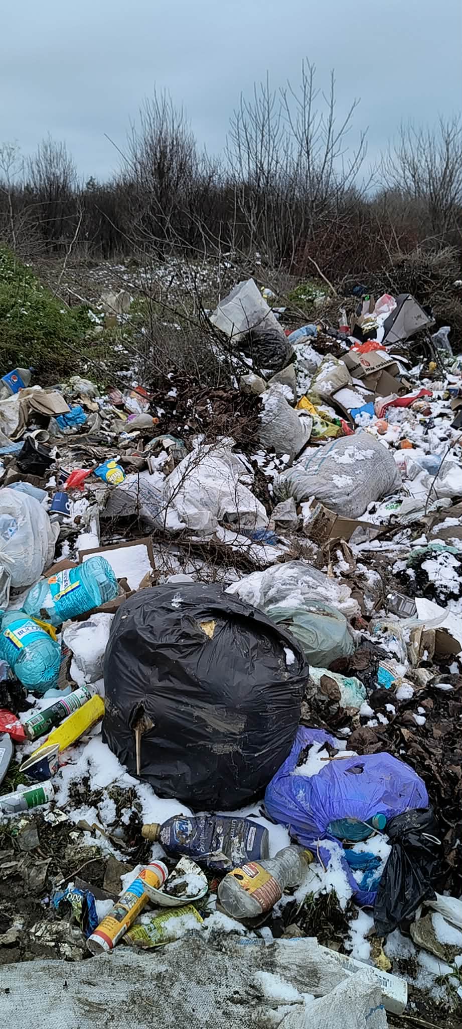 Foto: comuna Ciocănești 